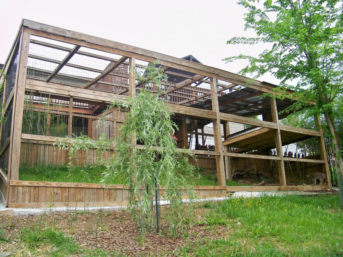 Private Pet Friendly Home Near Exotic Deer Farm Close To Pigeon Forge, Gatlinburg Tn سيفيرفيل المظهر الخارجي الصورة